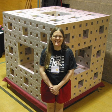 carti de vizita menger sponge 03