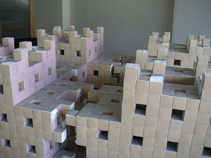 carti de vizita menger sponge