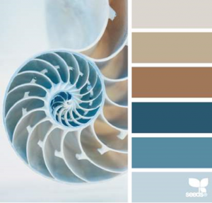 Design-Seeds-for-all-who-color-beach-tones-Google-Chrome_2014-05-29_10-15-26